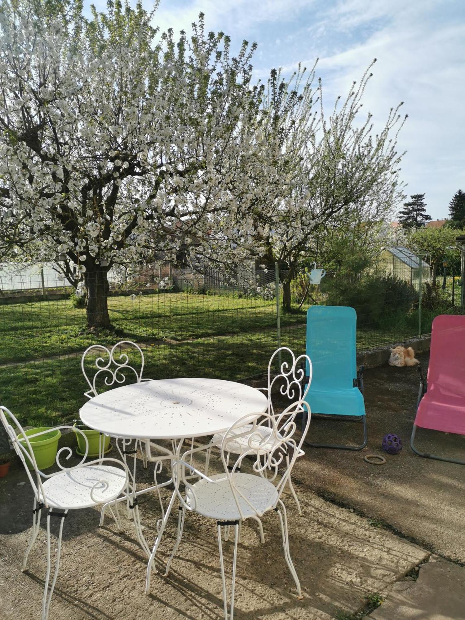 Maison Les 3 Roses Wolfisheim Exteriör bild